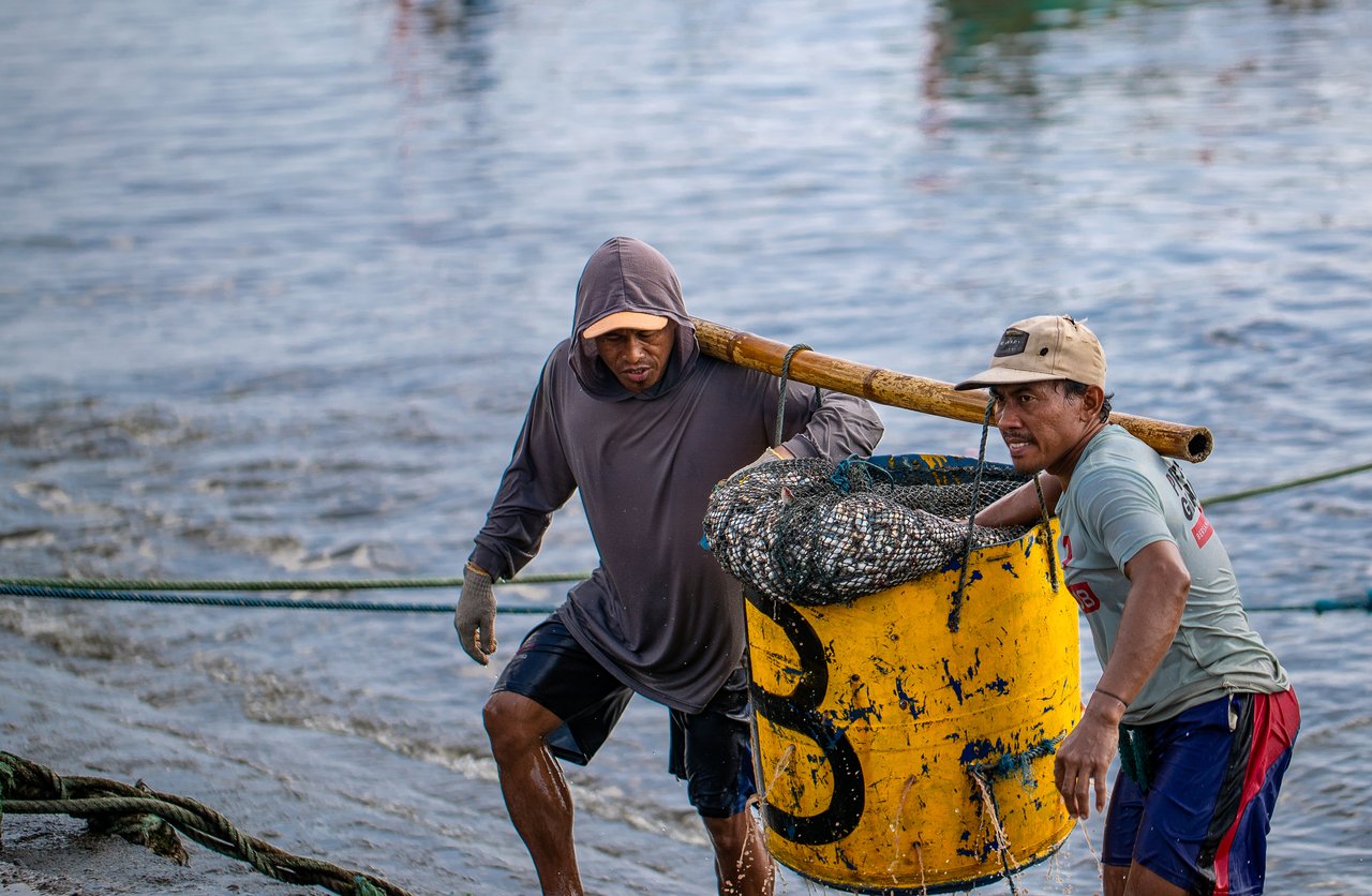 14 Fisheries Sector IJMI 2024