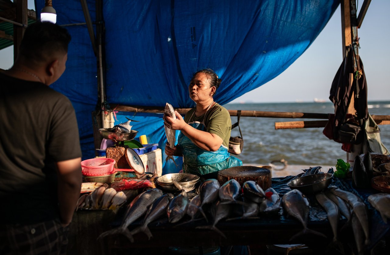 17 Fisheries Sector IJMI 2024